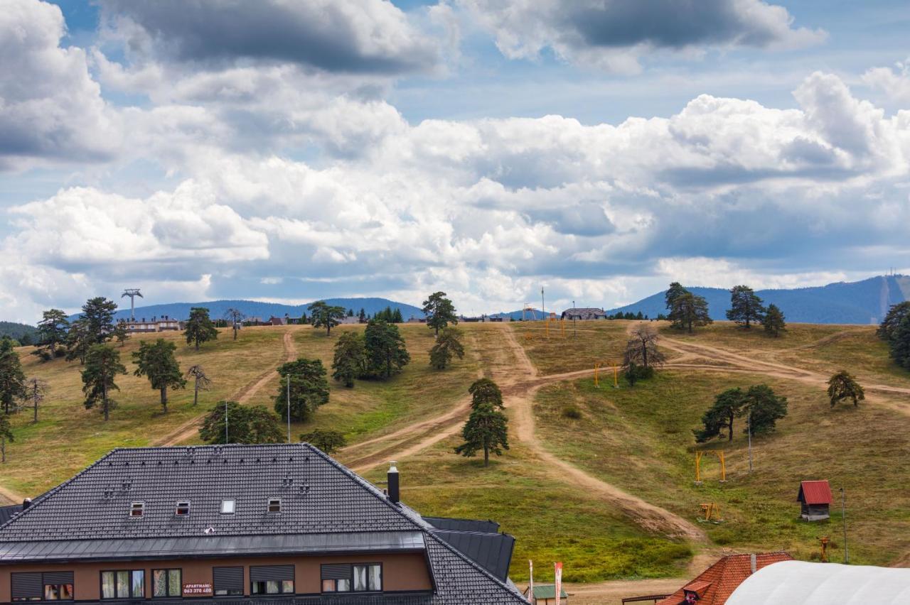 Top Rest - Vila Borova Zlatibor Exterior foto